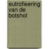 Eutrofieering van de botshol