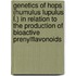 Genetics of hops (humulus lupulus l.) in relation to the production of bioactive prenylflavonoids