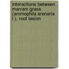 Interactions between marram grass (ammophila arenaria l.), root lesion by E. De la Pena