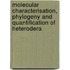 Molecular characterisation, phylogeny and quantification of heterodera