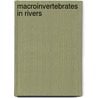 Macroinvertebrates in rivers door A. Dedecker