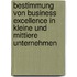 Bestimmung von business excellence in kleine und mittiere Unternehmen