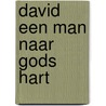 David een man naar gods hart door Henk Stoorvogel