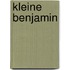 Kleine benjamin