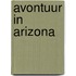 Avontuur in arizona