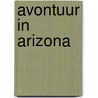 Avontuur in arizona by Wirt Williams