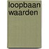 Loopbaan waarden