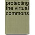 Protecting the Virtual Commons