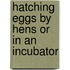 Hatching eggs by hens or in an incubator