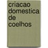 Criacao domestica de coelhos