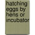 Hatching eggs by hens or incubator