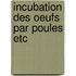 Incubation des oeufs par poules etc