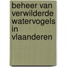 Beheer van verwilderde watervogels in Vlaanderen by O. Beck