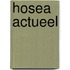 Hosea actueel