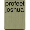 Profeet Joshua by R. van der Ven