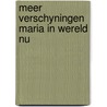 Meer verschyningen maria in wereld nu by Laurentin