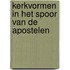 Kerkvormen in het spoor van de apostelen