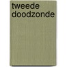 Tweede doodzonde door Jan Sanders