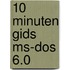 10 minuten gids ms-dos 6.0