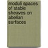 Moduli spaces of stable sheaves on abelian surfaces