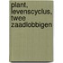 Plant, levenscyclus, twee zaadlobbigen