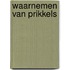 Waarnemen van prikkels