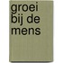 Groei bij de mens