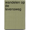Wandelen op de levensweg by Overeem