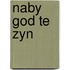 Naby god te zyn