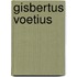 Gisbertus voetius