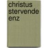 Christus stervende enz