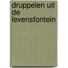 Druppelen uit de levensfontein door Zwynenburg