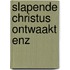 Slapende christus ontwaakt enz