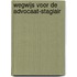 Wegwijs voor de advocaat-stagiair