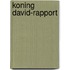 Koning david-rapport