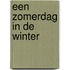 Een zomerdag in de winter