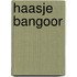 Haasje bangoor