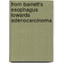 From Barrett's Esophagus Towards Adenocarcinoma