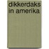Dikkerdaks in amerika