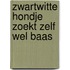 Zwartwitte hondje zoekt zelf wel baas