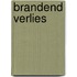 Brandend verlies