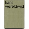 Kant wereldwijd by L. Lams