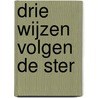 Drie wijzen volgen de ster door M. Vlaming