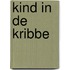 Kind in de kribbe