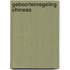 Geboortenregeling chinees