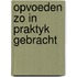 Opvoeden zo in praktyk gebracht