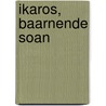 Ikaros, Baarnende Soan by Sjaak de Jong