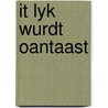 It lyk wurdt oantaast by T. Piebenga