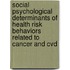 Social psychological determinants of health risk behaviors related to cancer and CVD