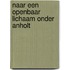 Naar een openbaar lichaam onder Anholt